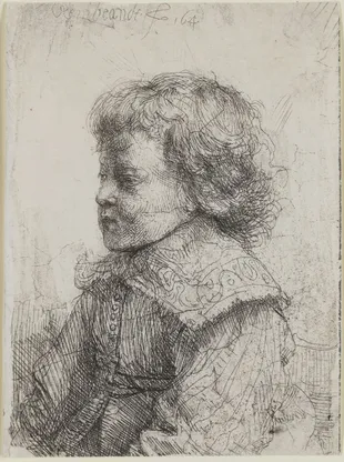 28548 Rem B310 Portrait of a Young Boy in Profile artwork background
