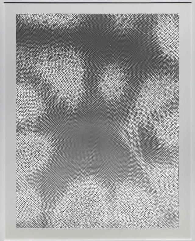 About the Artwork Feng Chen 冯晨. 42 Hz 42赫兹, 2018 Gelatin Silver Print 119.5 X 89.5 Cm (framed 含框)  by Feng Chen