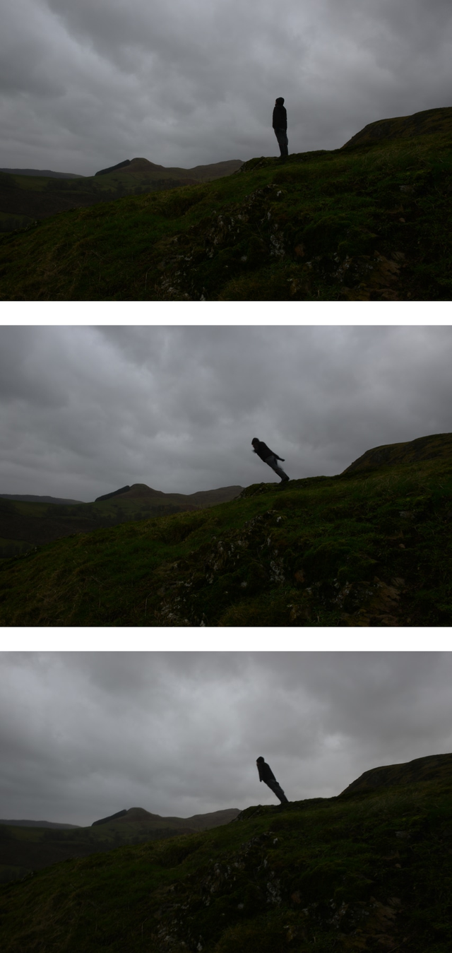 About the Artwork Andy Goldsworthy. Leaning into the wind  Dumfriesshire, Scotland  15 January 2015, 2015  by Andy Goldsworthy