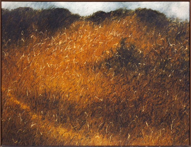 About the Artwork Paramjit Singh. the Path in the Grass. 1986  by Paramjit Singh