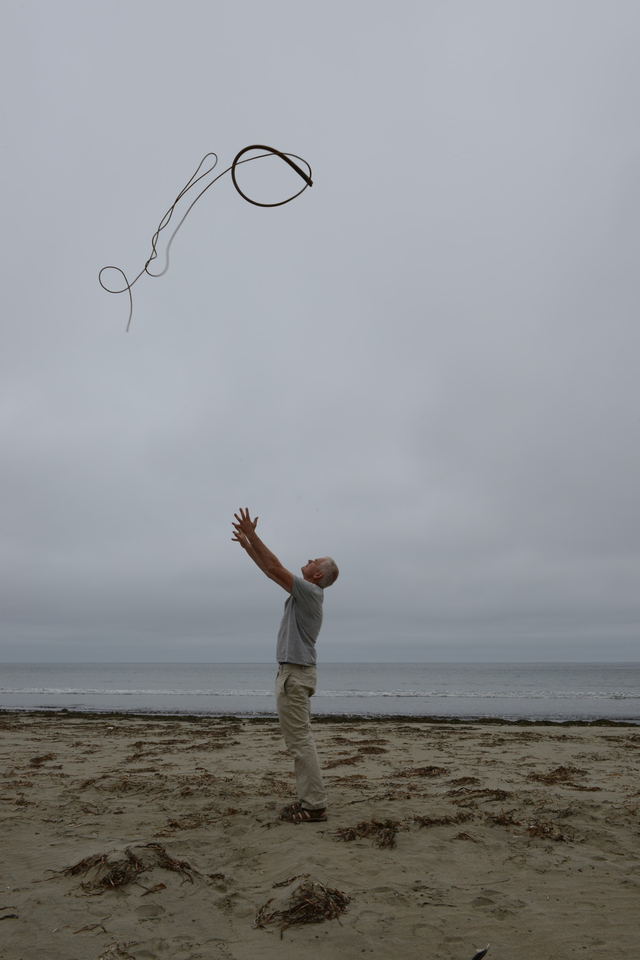 About the Artwork Andy Goldsworthy.  Kelp thrown into a grey, overcast sky / Drakes Beach, California / 14 July 2013, 2013  by Andy Goldsworthy