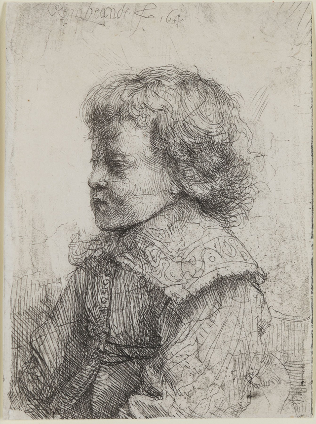 About the Artwork 28548 Rem B310 Portrait of a Young Boy in Profile  by Rembrandt Van Rijn